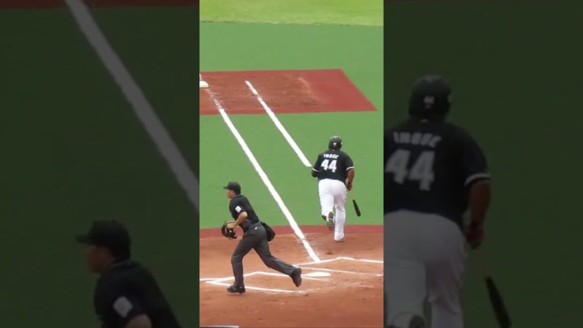 マリーンズ井上晴哉バッティングフォーム＜2軍・ヤクルトスワローズ対 千葉ロッテマリーンズ  2024年5月12日＞