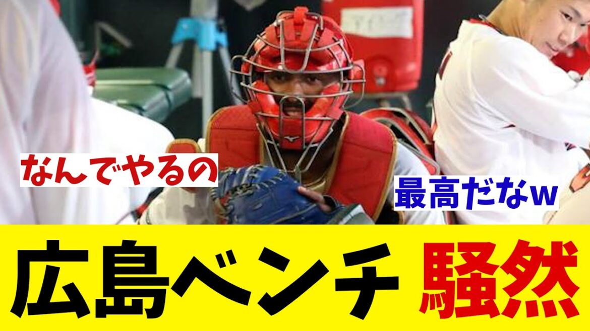 広島ベンチが騒然・・・wwwww【野球情報】【2ch 5ch】【なんJ なんG反応】【野球スレ】