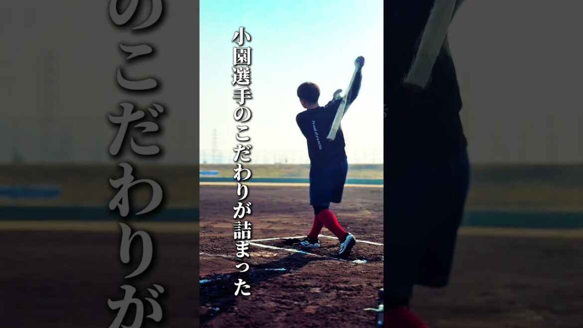 【こだわりの木製バット】広島東洋カープ小園海斗選手が愛用する硬式木製バットがやばすぎた、、