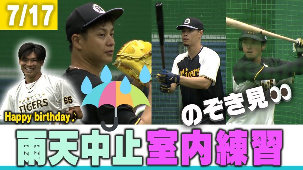 【練習のぞき見👀】7月17日試合は中止でしたが…練習の様子をお届けします！阪神タイガース密着！応援番組「虎バン」ABCテレビ公式チャンネル
