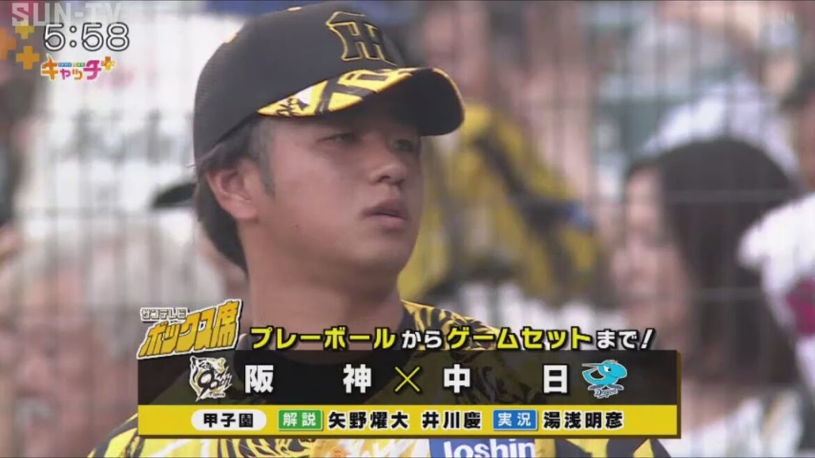 【ボックス席SOON】貯金なんてなんぼあってもいいですからね🐯💰【7月15日阪神－中日】