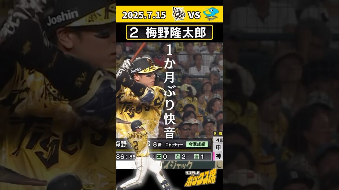【久々】梅野選手のバットから約1か月ぶりのヒット!(2025年7月15日 阪神ー中日) #サンテレビボックス席 【久々】梅野選手のバットから約1か月ぶりのヒット!(2025年7月15日 阪神ー中日) #サンテレビボックス席