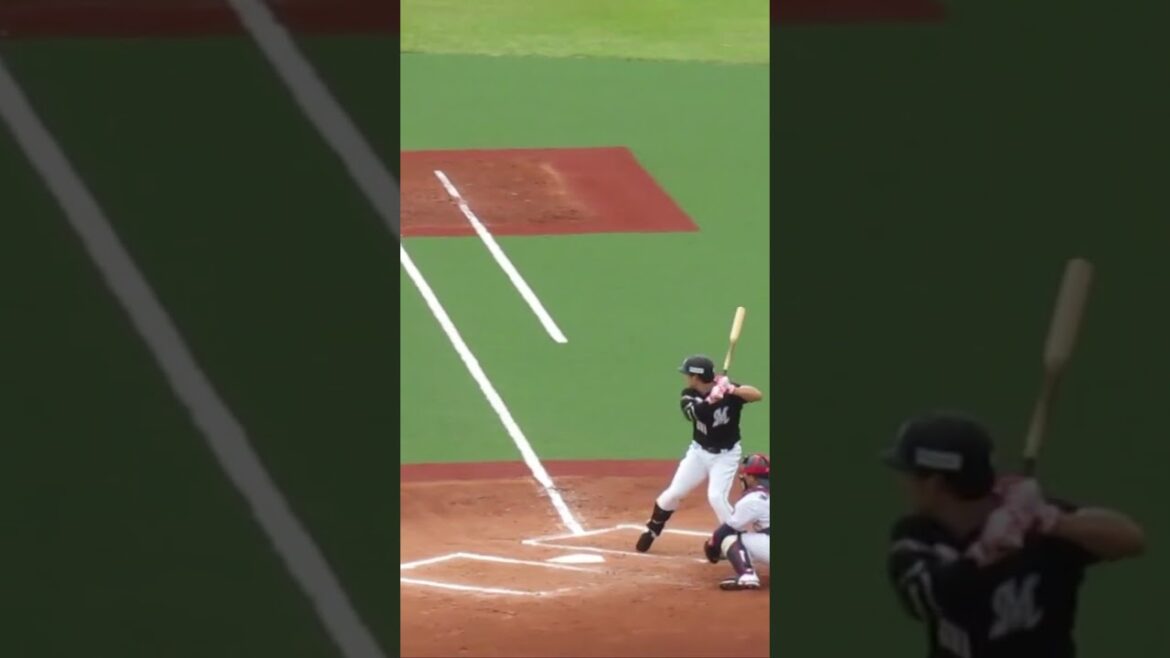 マリーンズ菅野剛士バッティングフォーム＜2軍・ヤクルトスワローズ対 千葉ロッテマリーンズ  2024年5月12日＞