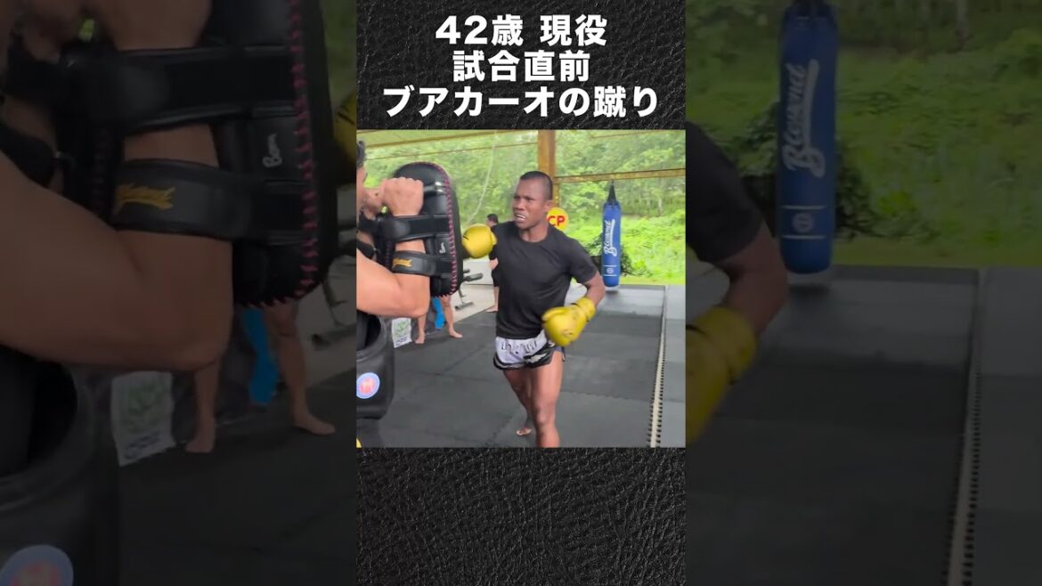魔裟斗 タイでブアカーオの蹴りを受ける。#魔裟斗 #キックボクシング #muaythai #buakaw #shorts 魔裟斗 タイでブアカーオの蹴りを受ける。#魔裟斗 #キックボクシング #muaythai #buakaw #shorts