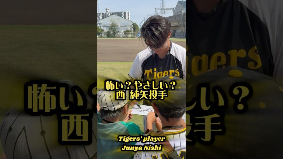 西純矢は怖い？ #阪神タイガース #hanshintigers #阪神 #野球 #プロ野球 #阪神ファン #西純矢 #今朝丸裕喜 #尼崎 #創志学園 #高校野球 #ゼロカーボンベースボールパーク