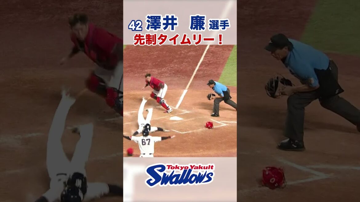 澤井廉選手 先制タイムリー！  #swallows #澤井廉 #shorts