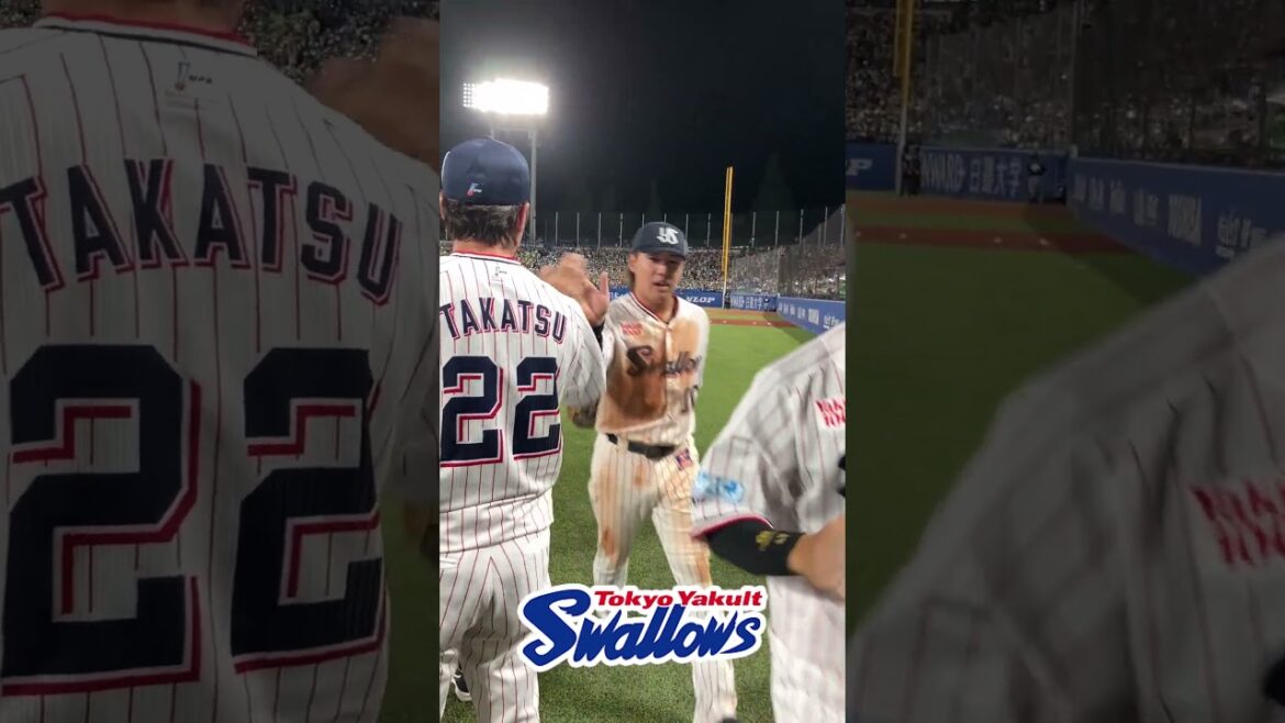 勝利後のハイタッチ  #swallows  #shorts