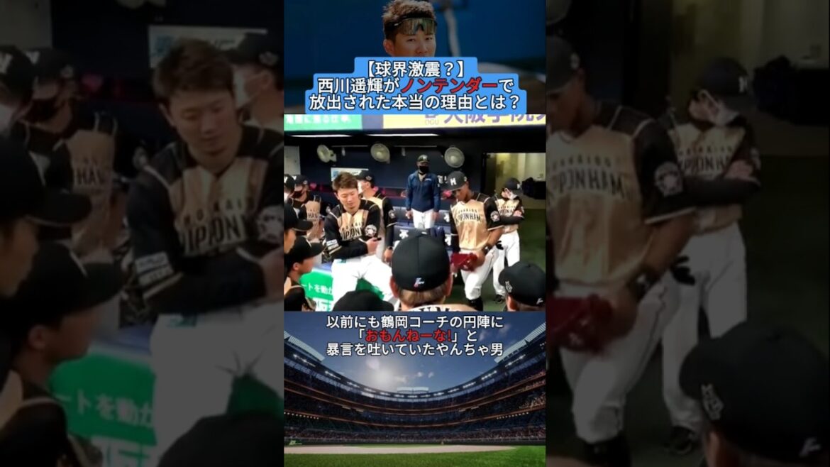 【球界激震？】西川遥輝がノンテンダーで放出された本当の理由とは？ #shorts #野球 #プロ野球 #baseball #creator #creators #雑学 #真実 #やんちゃ #日本ハム