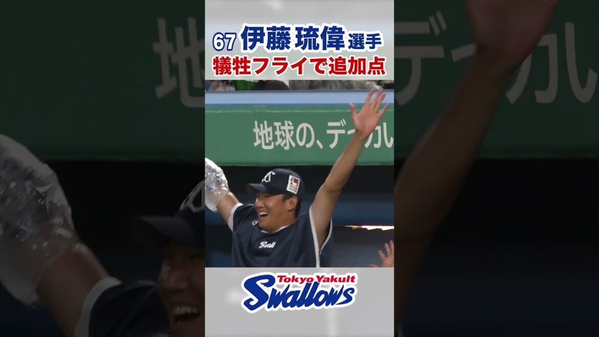 伊藤琉偉選手 　犠牲フライで追加点　#swallows #伊藤琉偉 #shorts