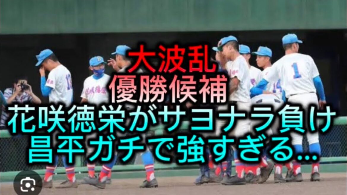 【高校野球】【埼玉高校野球】優勝候補・花咲徳栄がまさかのサヨナラ負け…昌平がガチで強すぎる件#高校野球 #甲子園