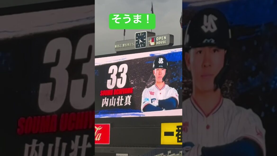 内山壮真選手ガンバレ！ヤクルトスワローズ