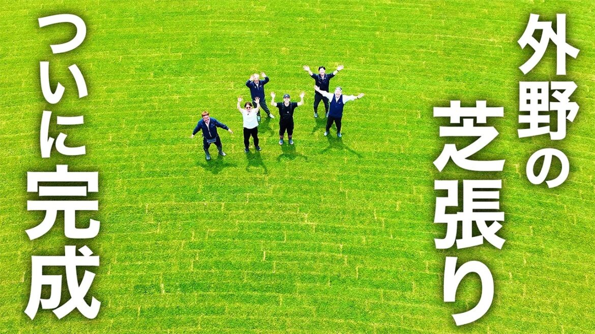 外野の天然芝がついに完成!! 過去最高の出来栄え!!