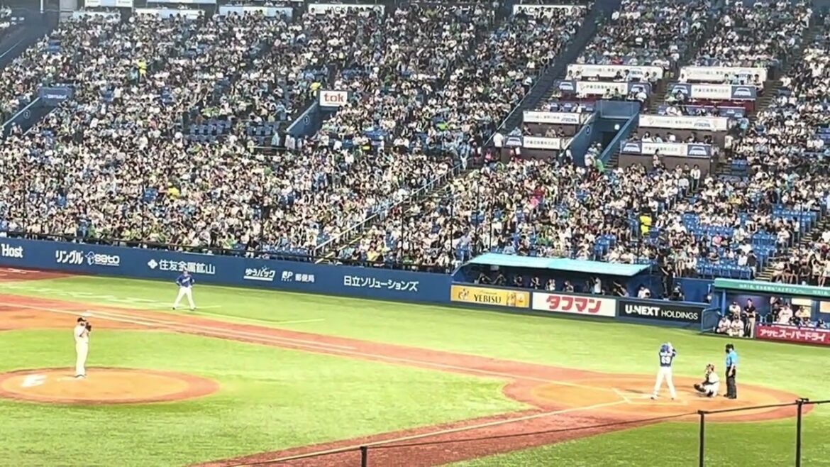 2024.8.14松木平優太応援歌(汎用)【明治神宮球場】