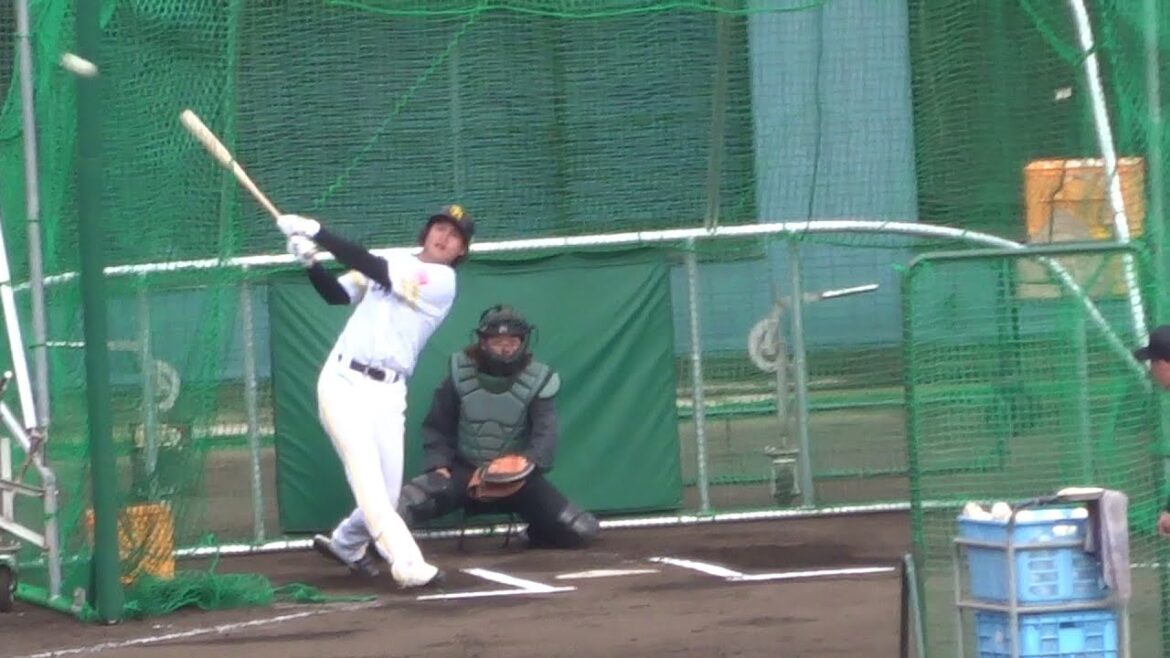 笹川吉康、リチャード選手のフリーバッティング