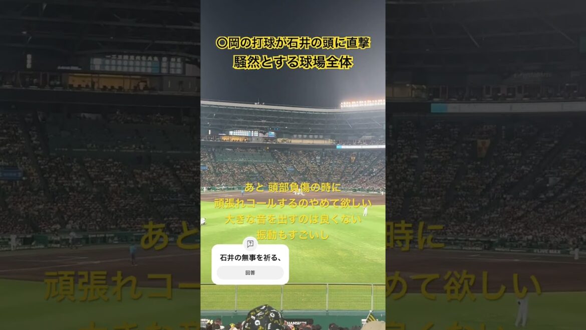 #石井大智 廣岡の打球が頭部に直撃し担架で運ばれる 騒然とする甲子園 無事であってください本当に