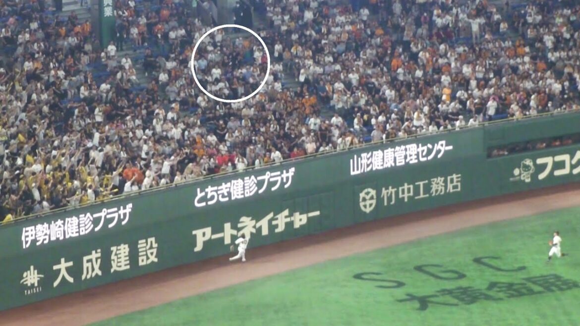 阪神 坂本誠志郎 2ランホームラン 第2号　巨人 0 - 4 阪神　2025年7月19日(土) 東京ドーム