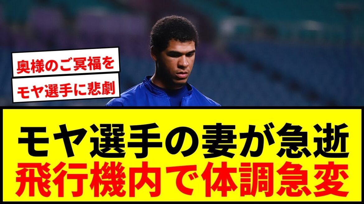 【訃報】元中日・オリックスのモヤ選手に悲劇…愛妻が飛行機内で急逝、球宴辞退へ 【訃報】元中日・オリックスのモヤ選手に悲劇…愛妻が飛行機内で急逝、球宴辞退へ