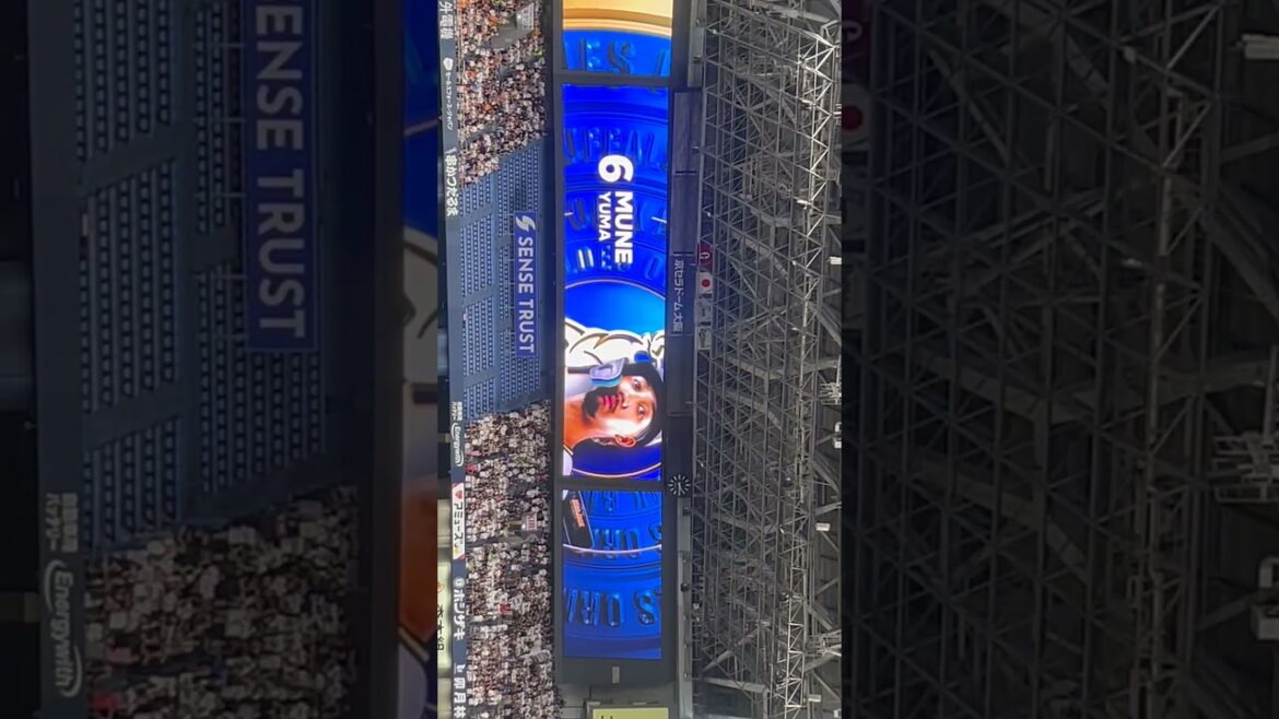 【オリックス】宗佑磨選手 ビジョン映像 大阪代表バファローズ高校 ver.