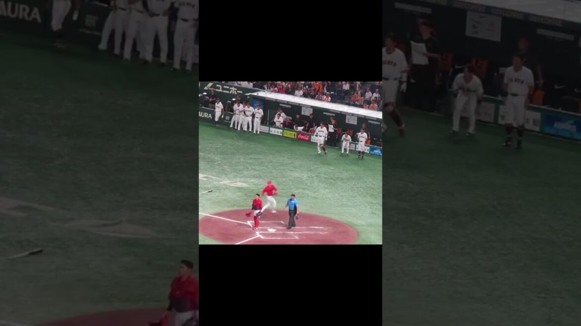 延長 オコエ瑠偉のヒットで盛り上がるジャイアンツベンチ（ 読売ジャイアンツ 対 広島カープ 2024年8月22日）