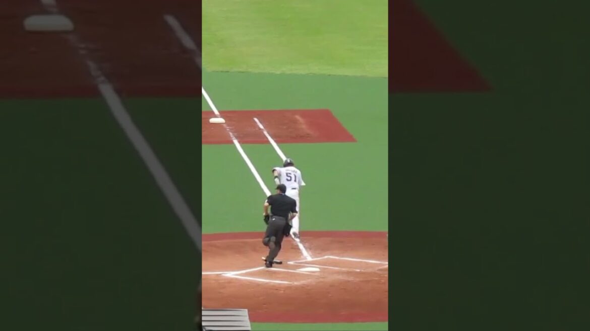 ヤクルト濵田太貴バッティングフォーム＜2軍・ヤクルトスワローズ対 千葉ロッテマリーンズ  2024年5月12日＞