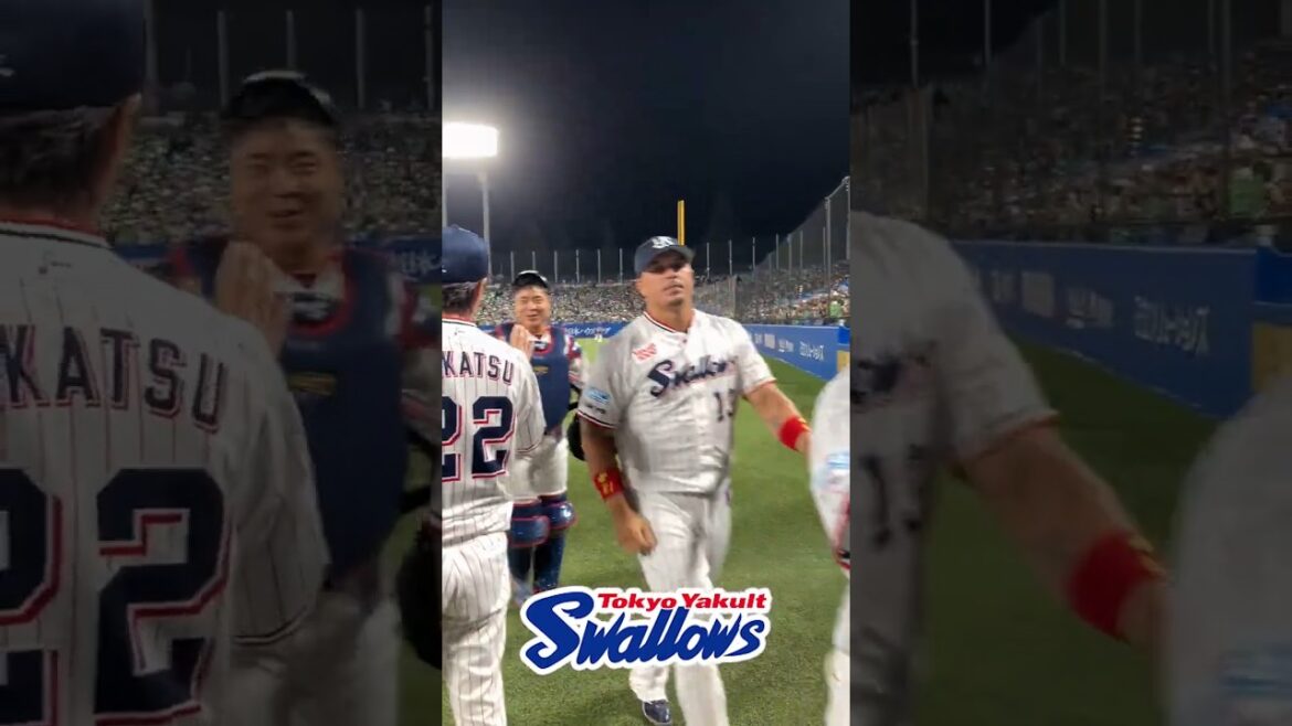 勝利後のハイタッチ  #swallows  #shorts