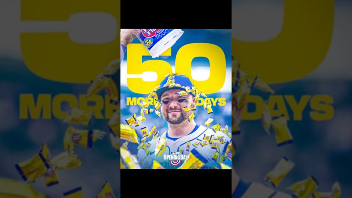 50 días para el Opening day #marinerosdeseattle #beisbol #marinersbaseball #mariners #baseball