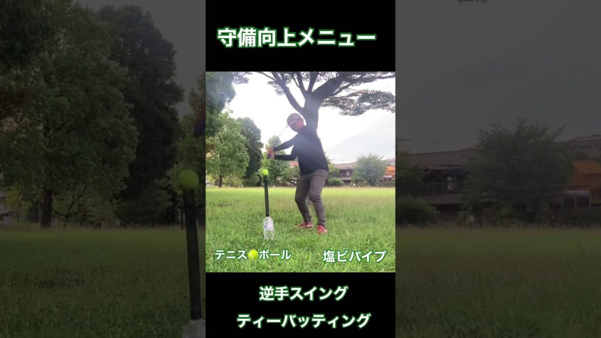 打撃向上ドリル　逆手スイング　ティーバッティング　前田智徳　森友哉