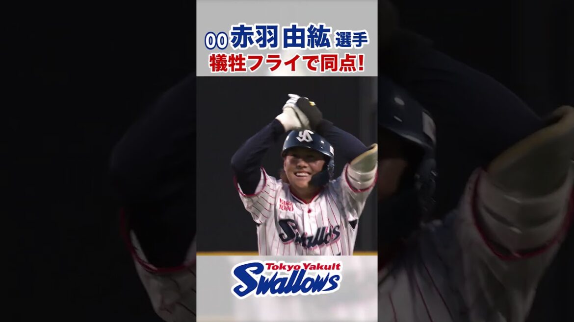 赤羽由紘選手 犠牲フライで同点！ #swallows #赤羽由紘 #shorts