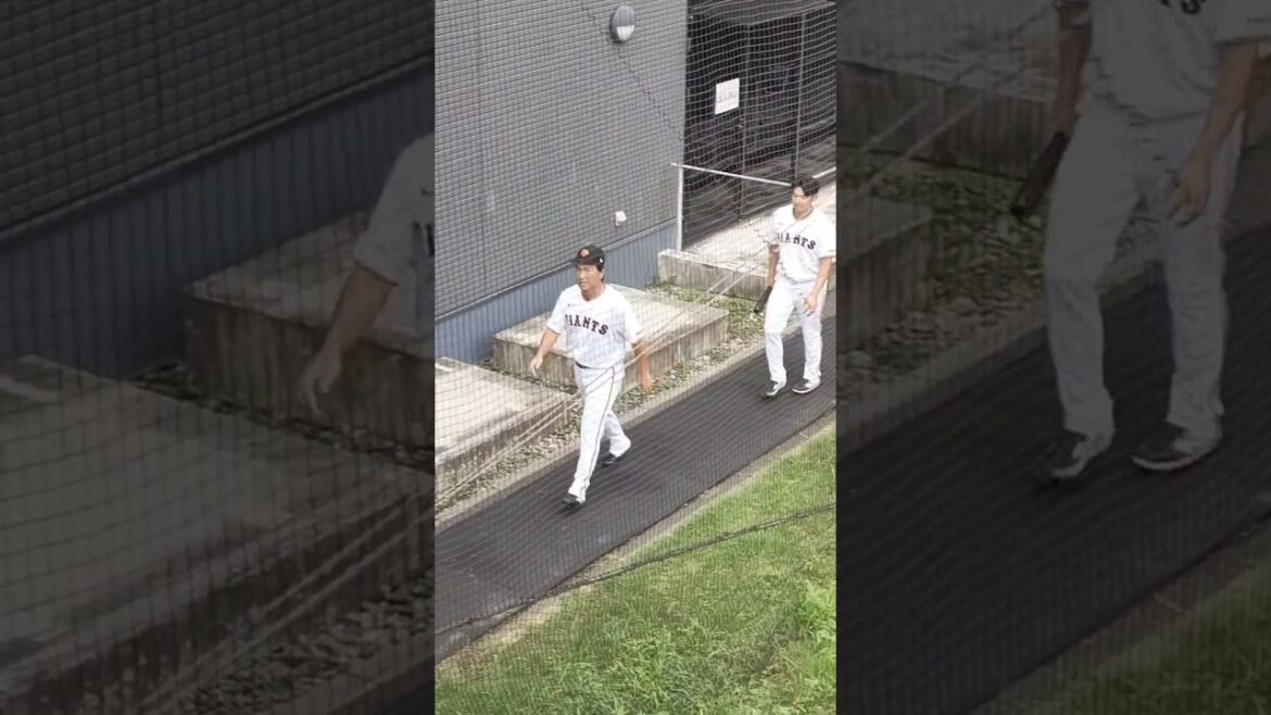 【GIANTS】 #長野久義 #萩尾匡也 選手 #shorts #巨人 #ジャイアンツ #プロ野球