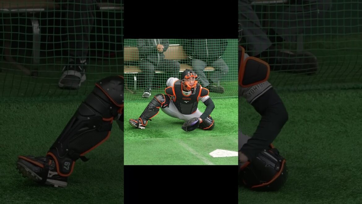 【巨人】1年目の山瀬慎之助選手と5年目の山瀬慎之助選手 #shorts #baseball #sports #ジャイアンツ #巨人 #プロ野球 【巨人】1年目の山瀬慎之助選手と5年目の山瀬慎之助選手 #shorts #baseball #sports #ジャイアンツ #巨人 #プロ野球