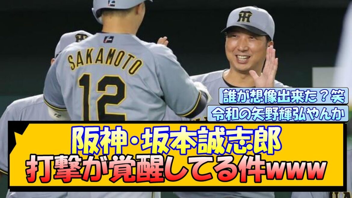 【2号HR】阪神・坂本誠志郎 打撃が覚醒してる件www