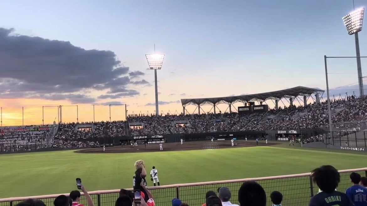 フレッシュオールスター2025 アセベド(ブラゼル他)応援歌【千葉ロッテマリーンズ】