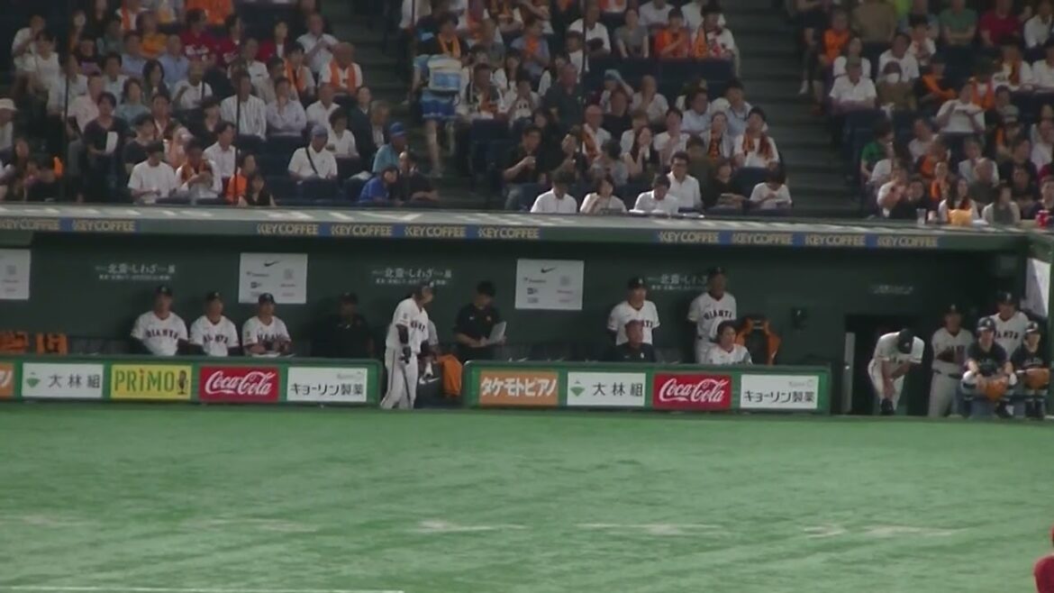 増田陸のヒットに喜ぶジャイアンツベンチ　2025年7月4日 読売ジャイアンツ対 広島カープ