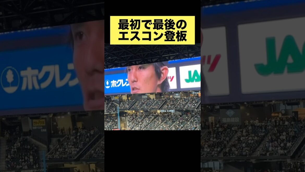 最初で最後のエスコン登板に胸ジーン🥹#増井浩俊#ラストピッチング#感動