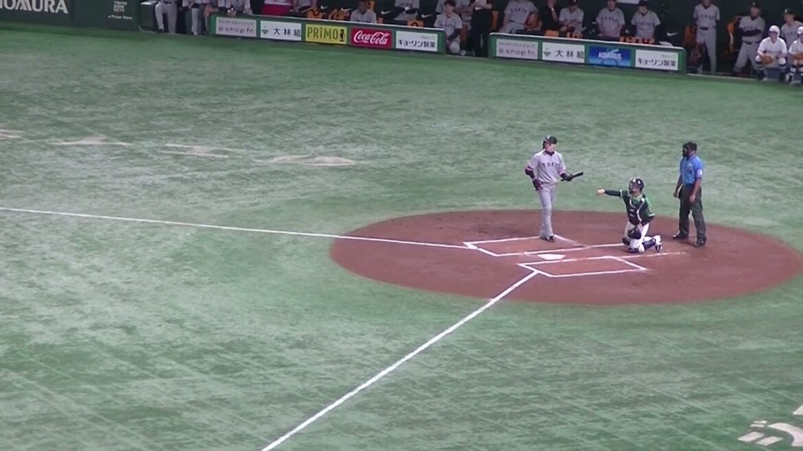 丸佳浩がサイスニードからヒットを放つ（読売ジャイアンツ 対 ヤクルトスワローズ2024年6月22日）
