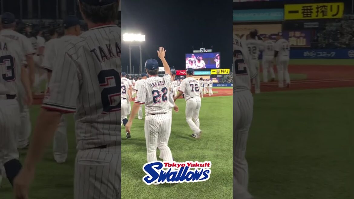 サヨナラ勝ち!  #swallows  #shorts