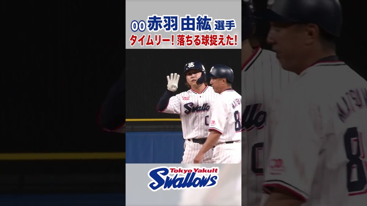 赤羽由紘選手  タイムリー! 落ちる球捉えた !  #swallows #赤羽由紘 #shorts