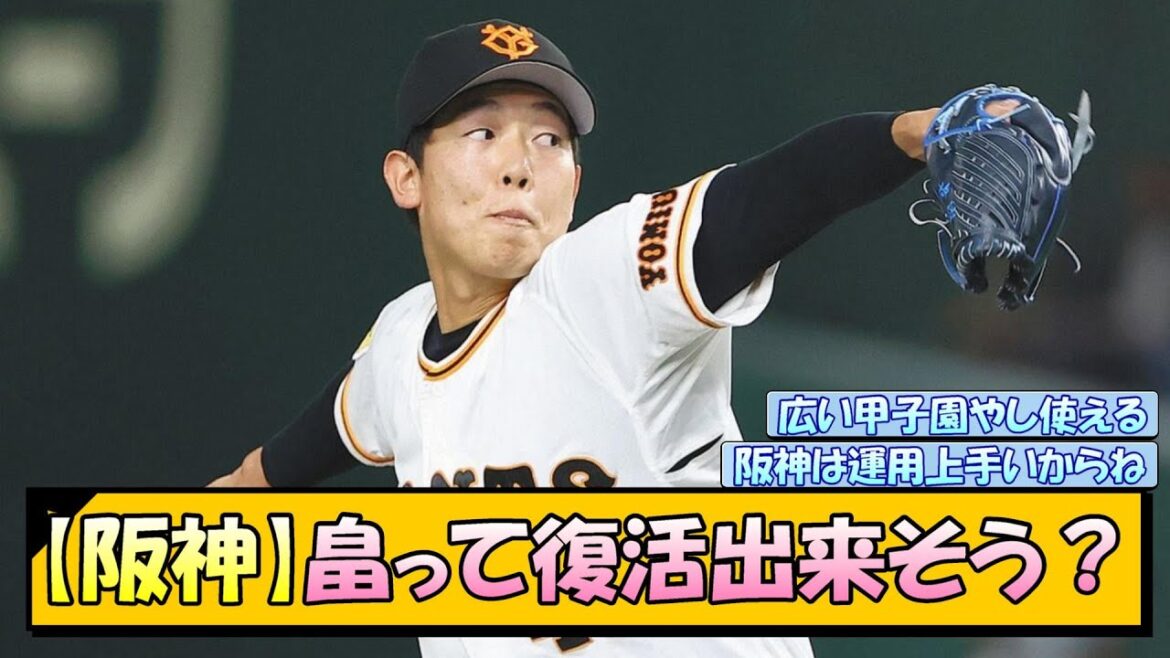 【阪神】畠って復活出来そう？【なんJ/2ch/5ch/ネット 反応 まとめ/阪神タイガース/藤川球児/現役ドラフト/浜地真澄】