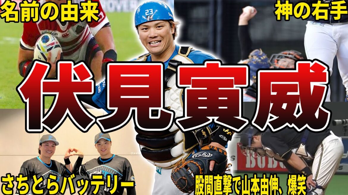 【TRY】日ハム・伏見寅威の面白エピソード50選 【TRY】日ハム・伏見寅威の面白エピソード50選