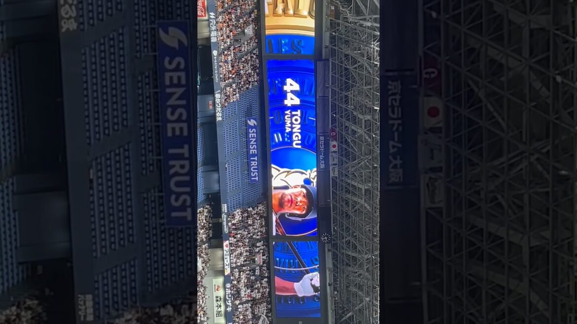 【オリックス】頓宮裕真選手 ビジョン映像 大阪代表バファローズ高校 ver.