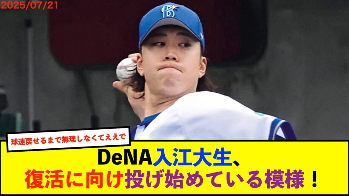 【朗報】右上腕の神経障害で離脱中のDeNA入江投手がブルペンでの立ち投げ再開「痛みもなく、私生活にも影響はない。順調です」【De速】 【朗報】右上腕の神経障害で離脱中のDeNA入江投手がブルペンでの立ち投げ再開「痛みもなく、私生活にも影響はない。順調です」【De速】