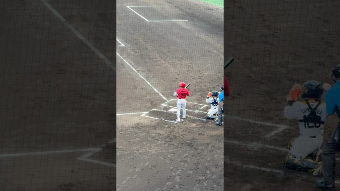 関西からもう一度 #時代は山足 と叫びたい #広島東洋カープ #山足達也 #carp #buffaloes  #オリックスバファローズ