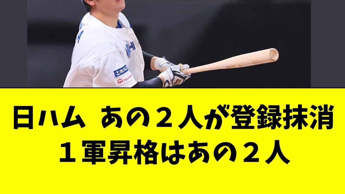 【日本ハム】あの２人が登録抹消。１軍昇格はあの２人！
