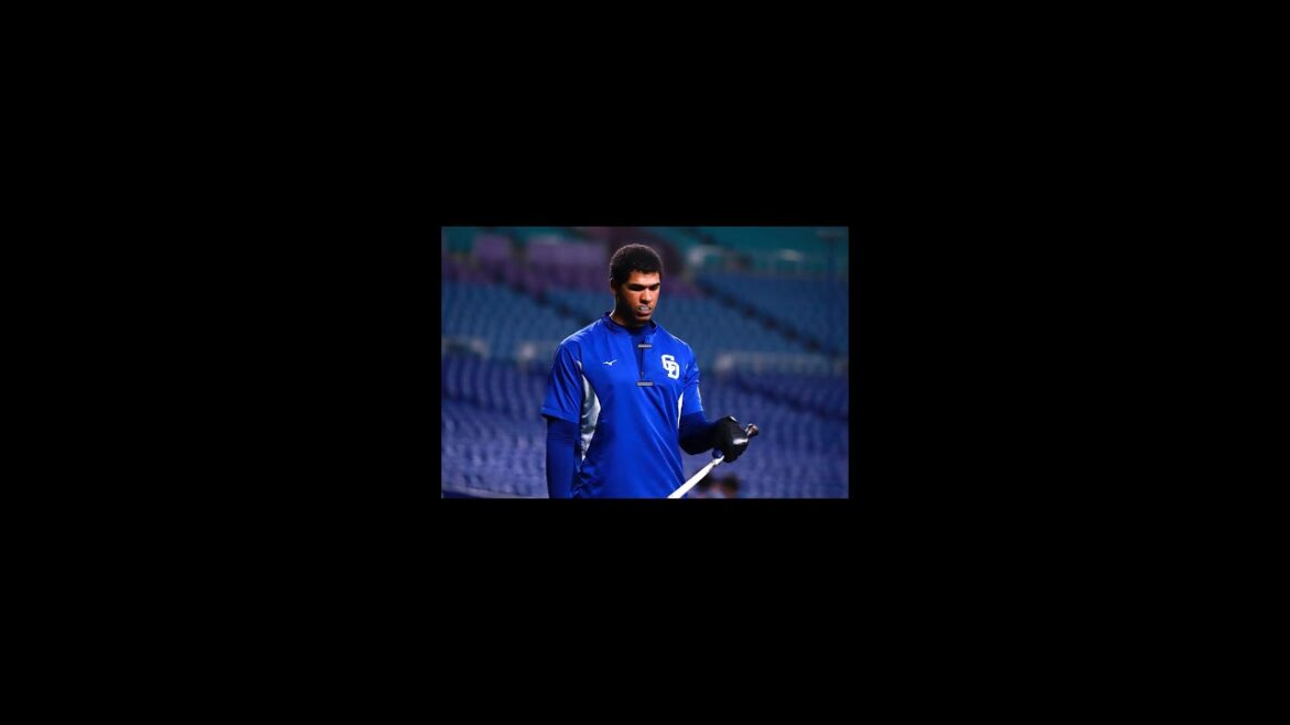 モヤ選手に悲報 愛妻急逝で球宴辞退