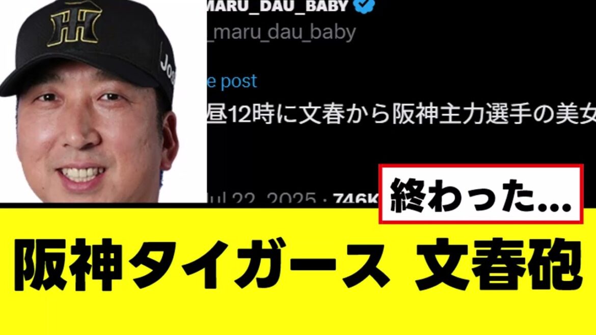 【悲報】阪神タイガースの主力選手、文春砲を喰らう 【悲報】阪神タイガースの主力選手、文春砲を喰らう