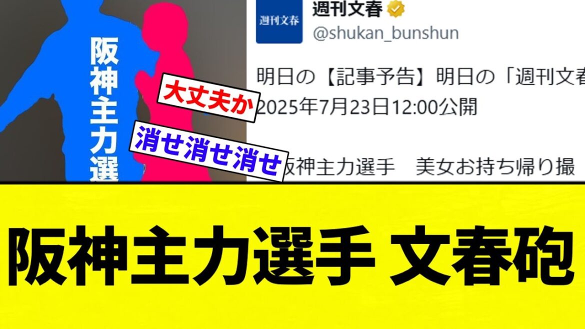 【誰だ？？】阪神主力選手 文春砲【プロ野球反応集】【2chスレ】【なんG】