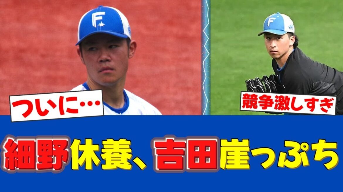 【事実】細野晴希と吉田賢吾、登録抹消の真相。【日ハムファンの反応】【F速報】