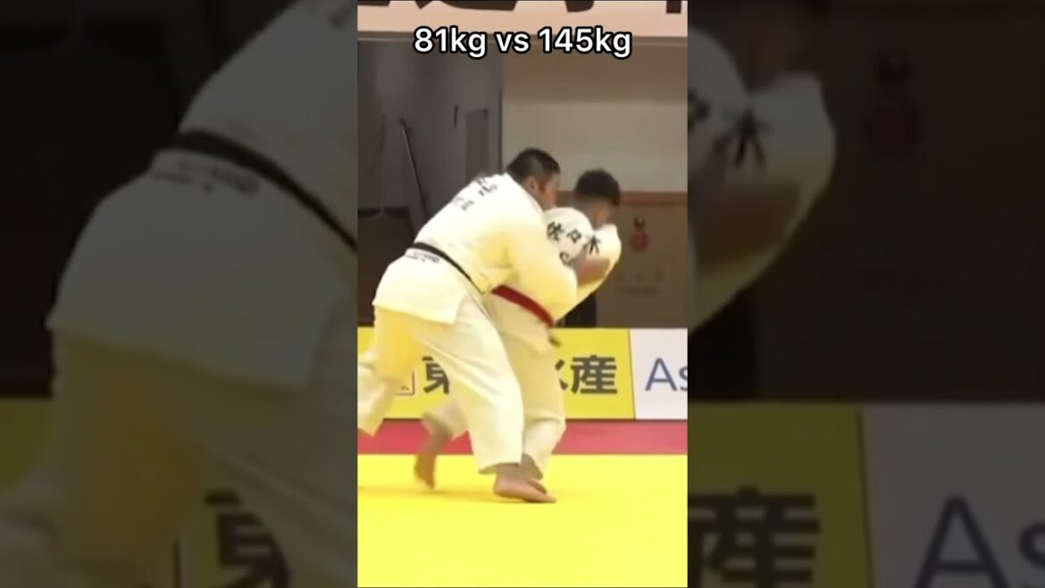 145kgを立ったまま投げる佐々木健志 Takeshi sasaki vs 145kg