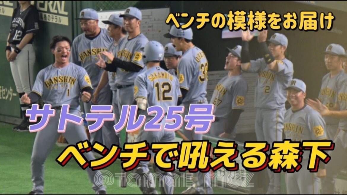 佐藤輝明25号ホームランで大盛りあがりのベンチの模様