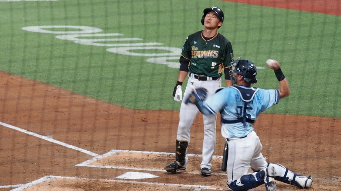 王柏融-對好壞球判決很不滿的大王 250712台鋼VS富邦 #baseball